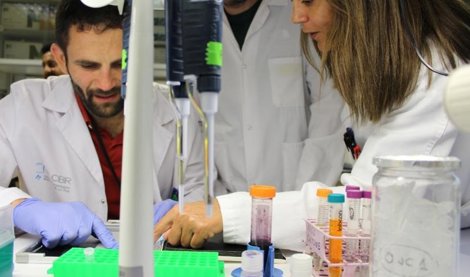 Investigación