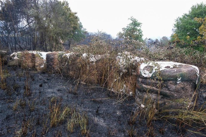 Terreno quemado, tras estabilizar el incendio, a 17 de julio de 2025, en Lalín, Pontevedra, Galicia (España). El incendio registrado a las 13.07 horas de la tarde de ayer, 16 de julio, en la parroquia de Maceira,, fue estabilizado a las 19.44 horas y la s