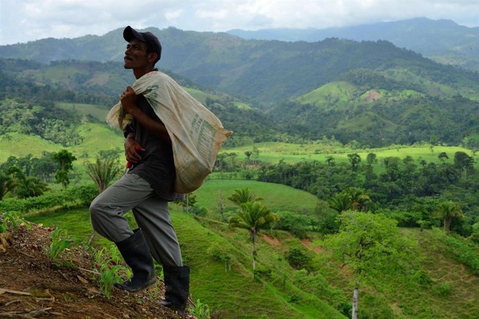 Archivo - Agricultor en Honduras.