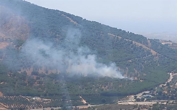 Un incendio forestal afecta al paraje de Fuente del Acebuche en Alhaurín el Grande