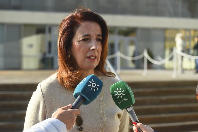 Archivo - La vicepresidenta de Ciudadanía y Equilibrio Territorial de la Diputación de Málaga, Antonia Ledesma.