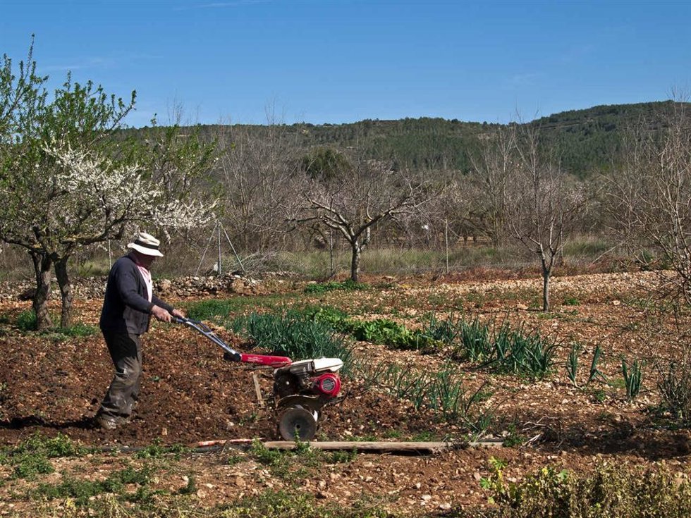 Archivo - Agricultor en el campo