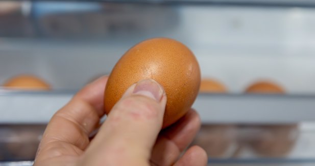 EpAgro