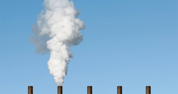 Medio Ambiente