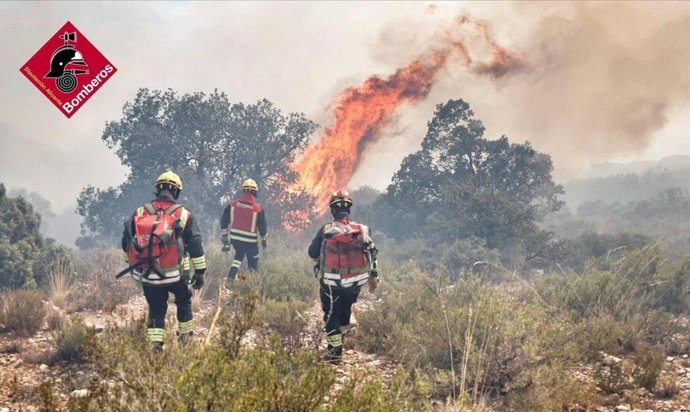 Incendio forestal de Ibi (Alicante)
