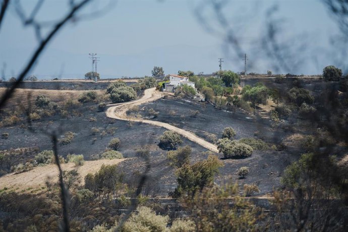 Ceniza del incendio originado en Méntrida
