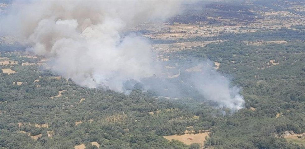 Casi medio centenar de medios trabajan en un fuego con índice de gravedad 2 en Navaluenga (Ávila)