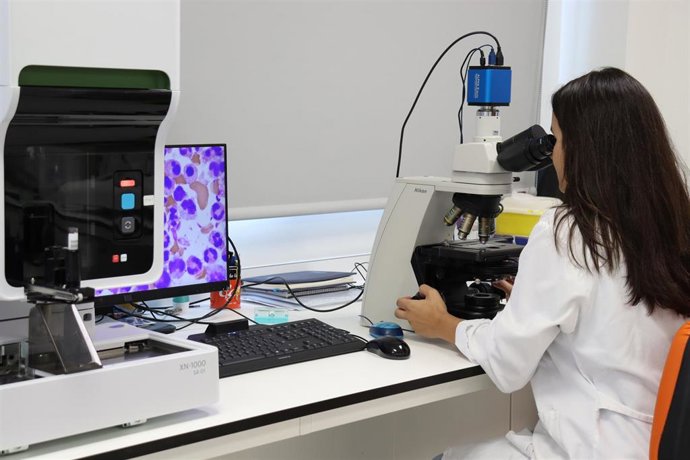 La Junta promueve un Centro en Red de Terapias Avanzadas para impulsar la medicina del futuro