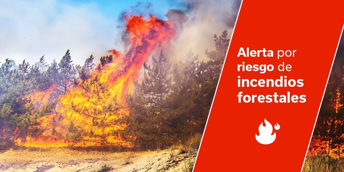 La provincia de Santa Cruz de Tenerife y Gran Canaria continúa en alerta por riesgo de incendios forestales