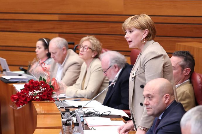 La portavoz de Familia e Igualdad de Oportunidades del Grupo Socialista en las Cortes de Castilla y León, Soraya Blázquez