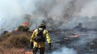 Controlados los incendios declarados en Morón y Aznalcázar (Sevilla)