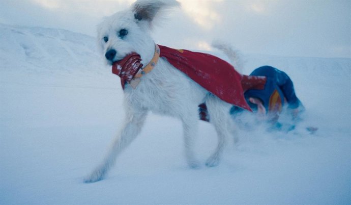 Superman dispara el interés por la adopción de perros gracias a Krypto