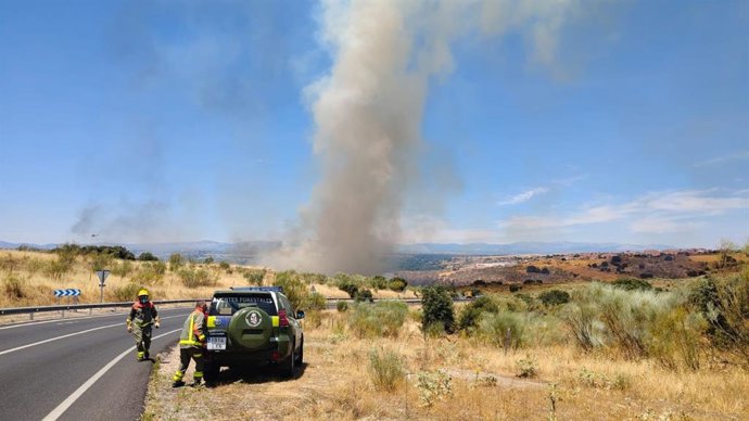 Incendio de vegetación en la Ribera de San Pedro de Arroyomolinos