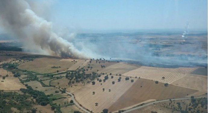 El incendio de Castillejo de Martín Viejo (Salamanca) calcina casi un centenar de hectáreas