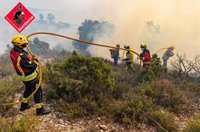 Bomberos dan por estabilizado el incendio forestal de Ibi (Alicante)