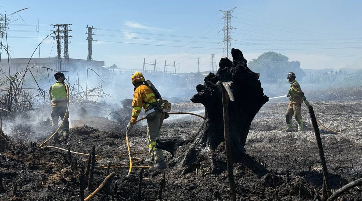 Extinguido un incendio de vegetación declarado en el carril Claras, en la pedanía murciana de Monteagudo