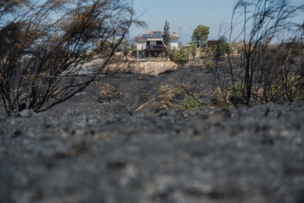 Incendio forestal en Méntrida.