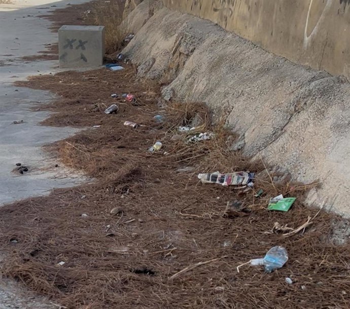 Imagen facilitada por el Grupo Socialista en el Ayuntamiento de Murcia para reclamar al PP un "plan intensivo de limpieza de ramblas y solares para prevenir incendios y daños por lluvias intensas"
