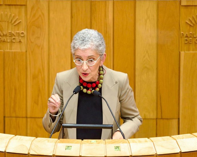 La socialista Silvia Longueira