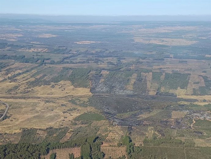 Incendio localizado en el término municipal de Valdecaballeros (Badajoz)
