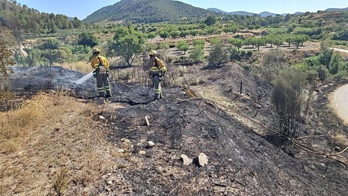 Bomberos apagan dos conatos de incendio forestal y agrícola en las inmediaciones del Rio Mula en Bullas