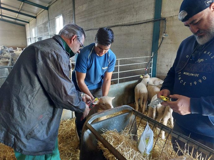 Componentes del Grupo Operativo Tomatho durante el estudio.