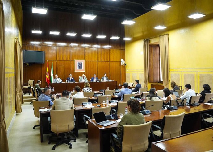 Sesión de la comisión de Universidad, Investigación e Innovación del Parlamento andaluz. (Foto de archivo).