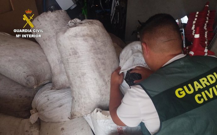 A Guardia Civil recupera quase uma tonelada de azeitonas roubadas em Mota del Cuervo