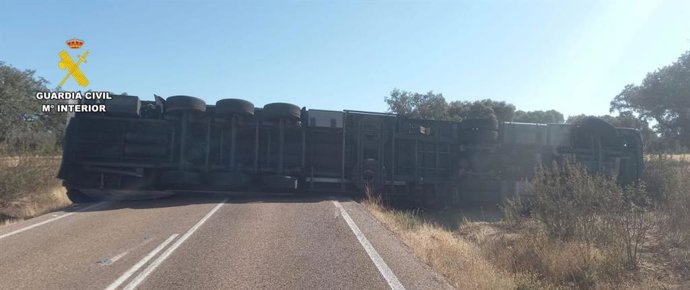 Un camión articulado volcado en la EX-303 en Aliseda