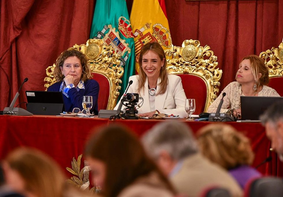 Archivo - La presidenta de la Diputación, Almudena Martínez, en un Pleno.