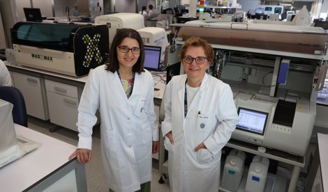 Investigación