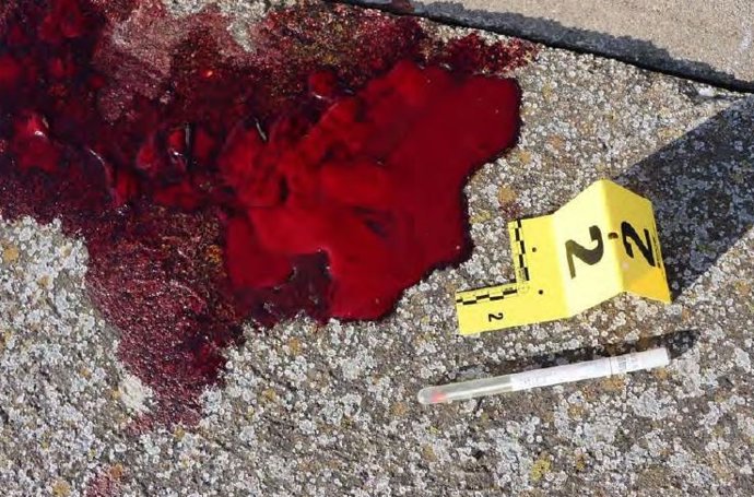 Restos de la agresión ocurrida en Falces.