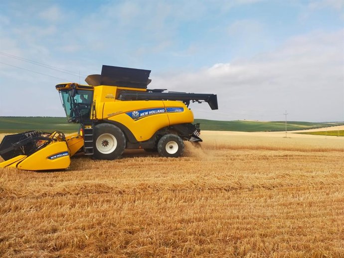 Archivo - Maquinària en un camp de cereals