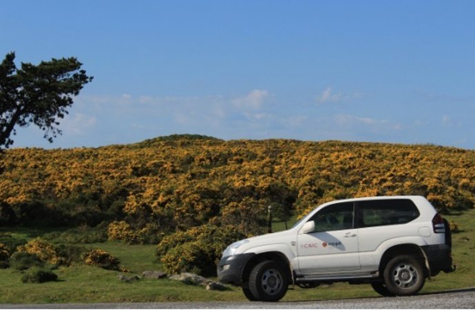 Campaña arqueológica en Pedra da Xesta, municipio de Boiro