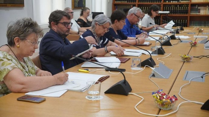 Imagen del pleno ordinario de julio 2025 celebrado en el Consell Valencià de Cultura (CVC).
