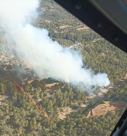 Incendio forestal declarado en Cala d'Hort.