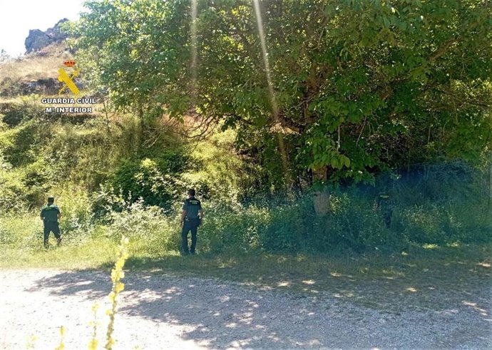 Vídeo de la noticia