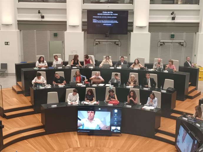 Almeida 'rompe' su baja de paternidad y se conecta a distancia al Pleno de Cibeles