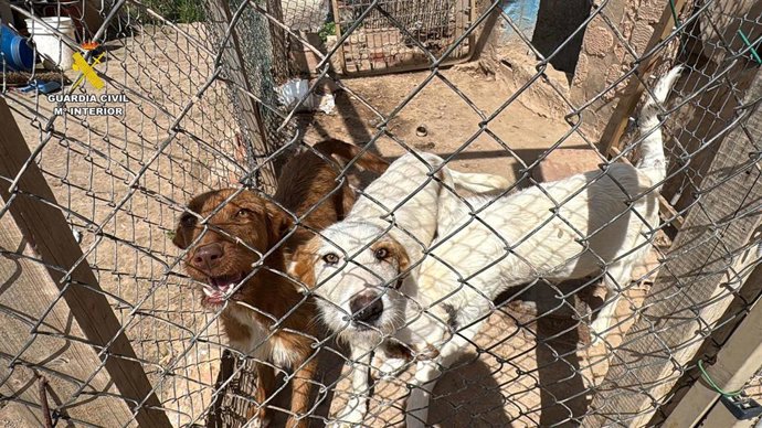 Archivo - Detenido por tres robos con fuerza en una vivienda y en una casilla de campo en Albelda de Iregua