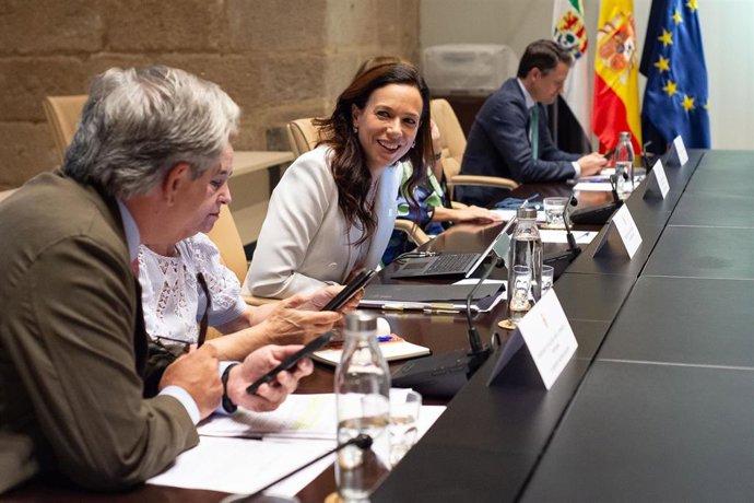 La consejera de Salud, Sara García Espada, en la reunión del Consejo de Gobierno