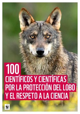 Más de 100 científicos piden por carta a CCAA y MITECO que el lobo no se cace y que vuelva al LESPRE.