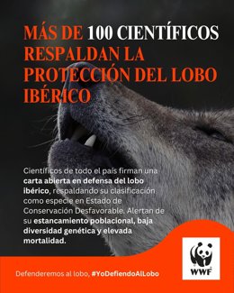 Más de 100 científicos piden por carta a CCAA y MITECO no permitir la caza del lobo y que vuelva al Lespre