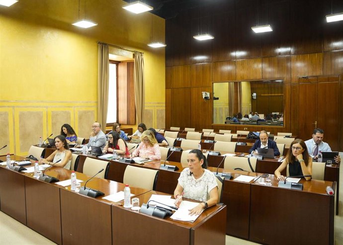 Sesión de la comisión de control de la RTVA en el Parlamento andaluz.