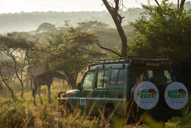 Home to Africa