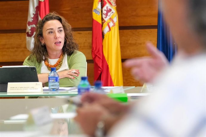 La consejera de Agricultura, Ganadería y Desarrollo Rural, María González Corral, en el Consejo Agrario de Castilla y León.