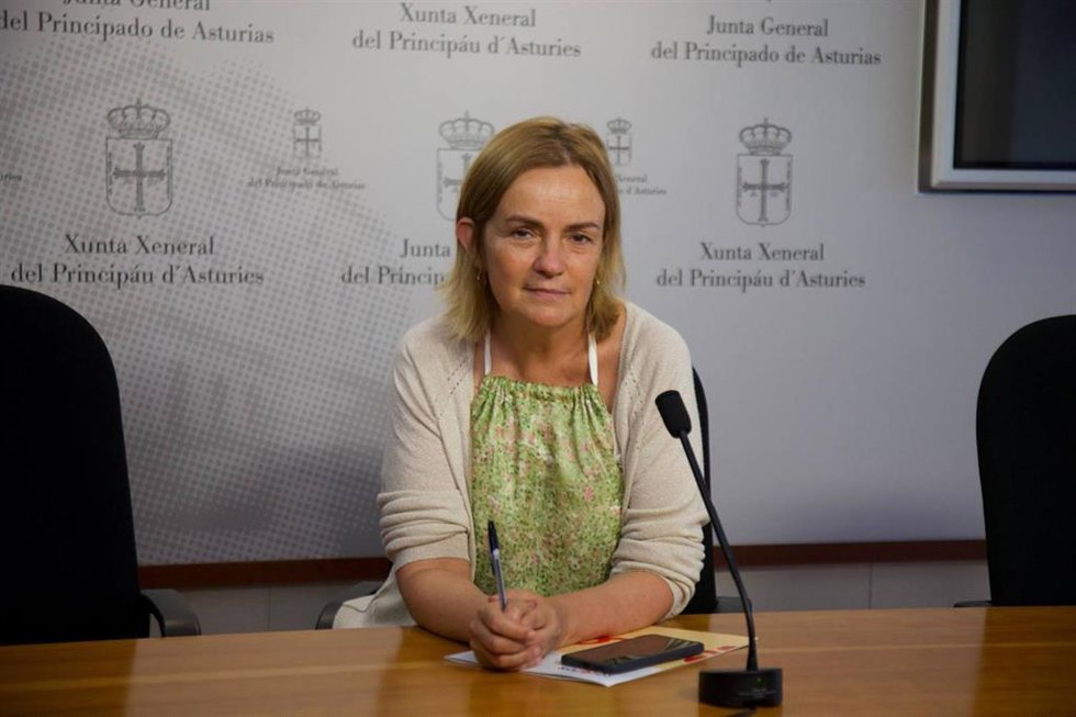La diputada regional del Grupo Mixto, Covadonga Tomé, en la Junta General.