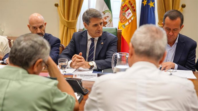 El delegado del Gobierno en Andalucía, Pedro Fernández, en una reunión de la Mesa de Coordinación Operativa (MECO) del IV Plan Especial de Seguridad del Campo de Gibraltar en Málaga.
