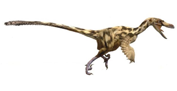Recreación de dromeosáurido