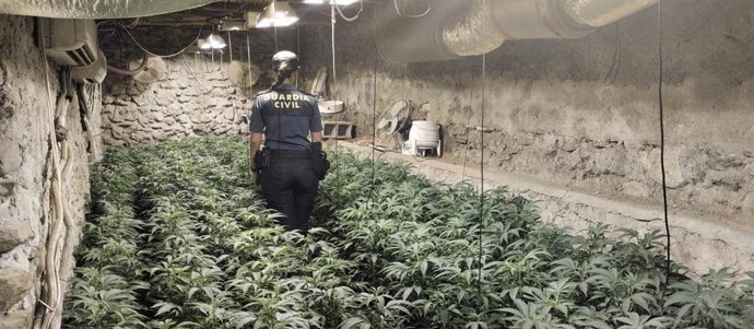 Nave de aperos con plantación de marihuana desmantelada