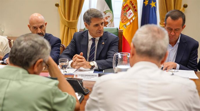 El delegado del Gobierno de España en Andalucía, Pedro Fernández, en la reunión de la Mesa de Coordinación Operativa (MECO)